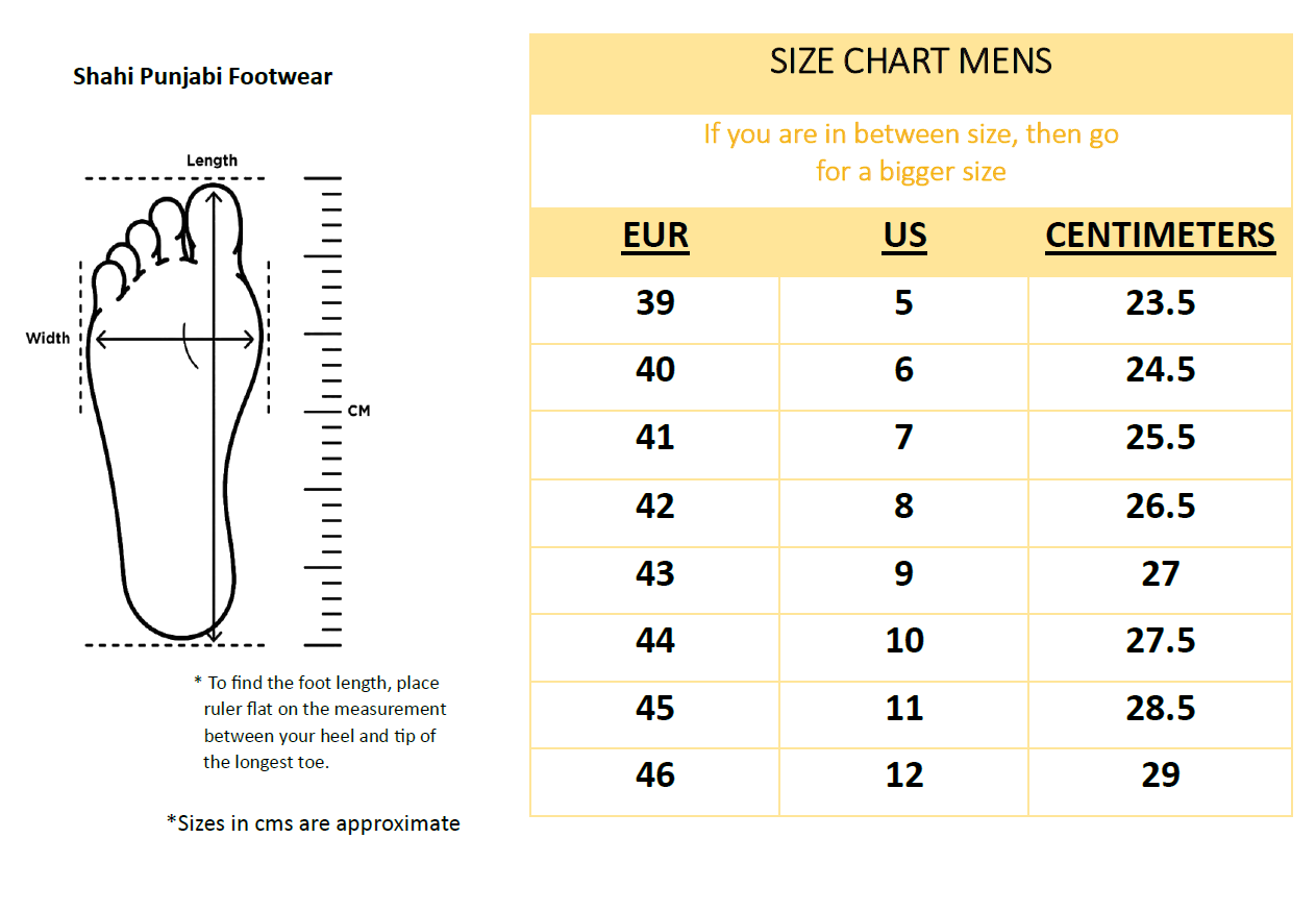 Classic Courtier | Men's Handcrafted Punjabi Jutti